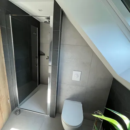 Des Rossignols Proche D Obernai Avec Jardin 4 Adultes 度假居